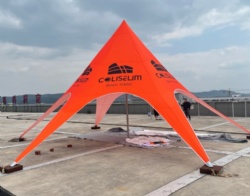 5x5M(Dia:10M) Custom Printing Single Pole Star Shade Marquee For Large Events