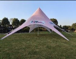 7x7M(Dia:14M) Custom Printing Single Pole Star Shade Marquee For Large Events